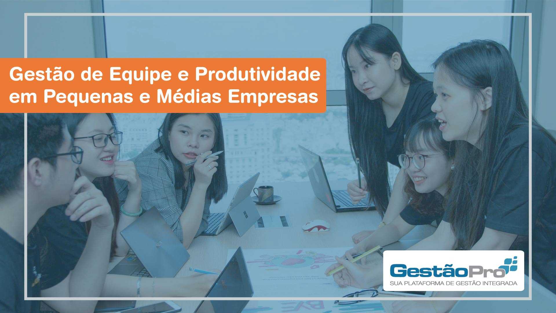 Maximizando o Potencial - Gestão de Equipe e Produtividade em Pequenas e Médias Empresas
