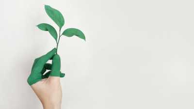 Responsabilidade Social Corporativa: Como as Empresas Podem Causar Impacto Social e Ambiental Positivo